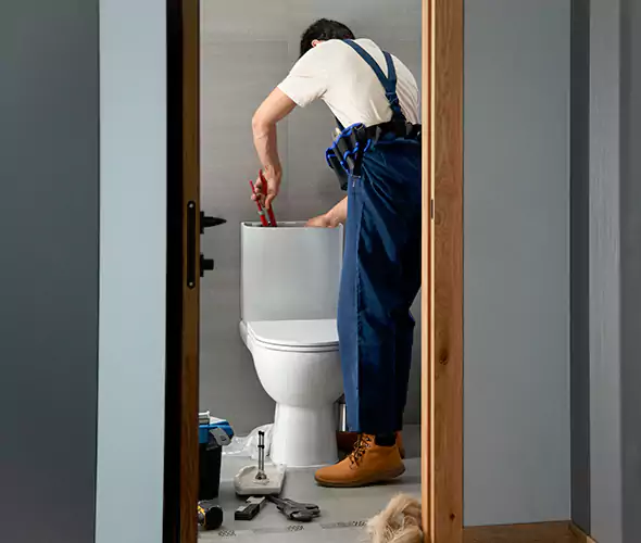 Professional Plumbers for Toilet Bowl Replacement in Kings Park, NY: Schedule Affordable Toilet Replacement Services With Us