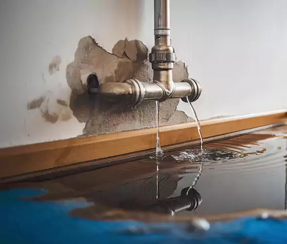 Professional Water Damage Restoration Experts in Kings Park, NY — Fast, Reliable & Certified