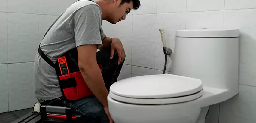 Toilet Repair in Kings Park