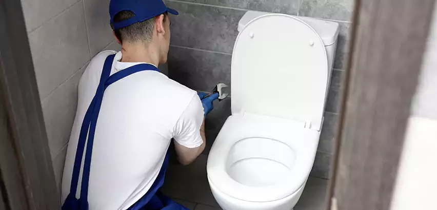 Toilet Lid Replacement in Kings Park