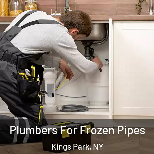  Plumbers For Frozen Pipes Kings Park, NY