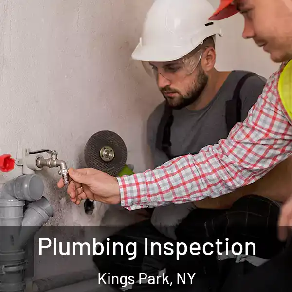  Plumbing Inspection Kings Park, NY