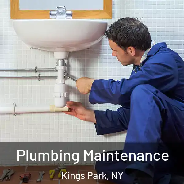  Plumbing Maintenance Kings Park, NY