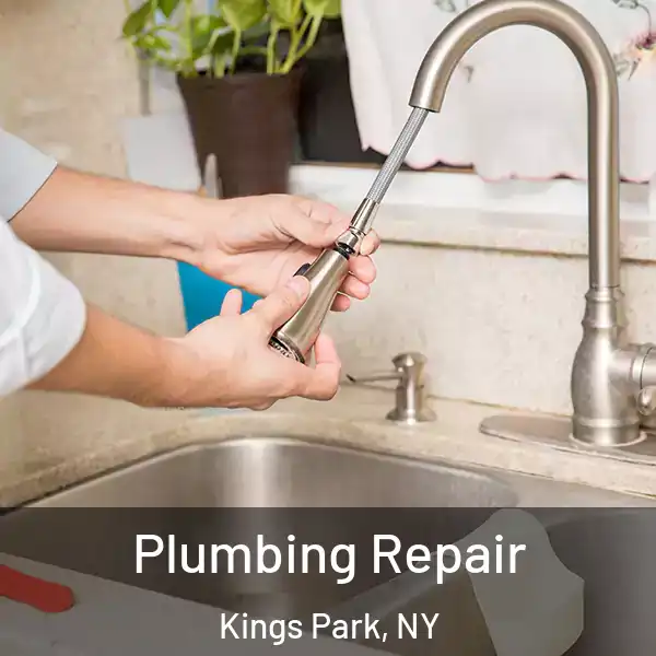  Plumbing Repair Kings Park, NY