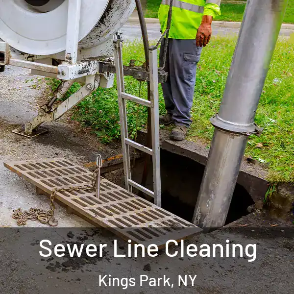  Sewer Line Cleaning Kings Park, NY