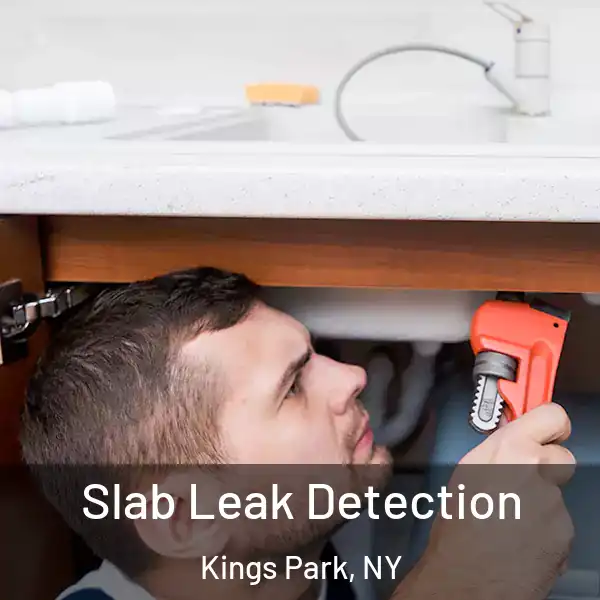  Slab Leak Detection Kings Park, NY