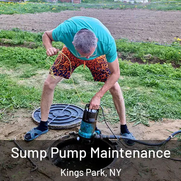  Sump Pump Maintenance Kings Park, NY