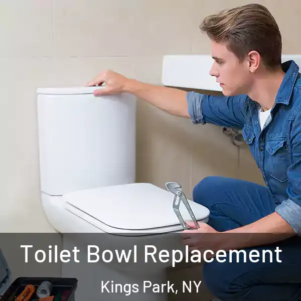  Toilet Bowl Replacement Kings Park, NY