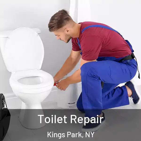  Toilet Repair Kings Park, NY