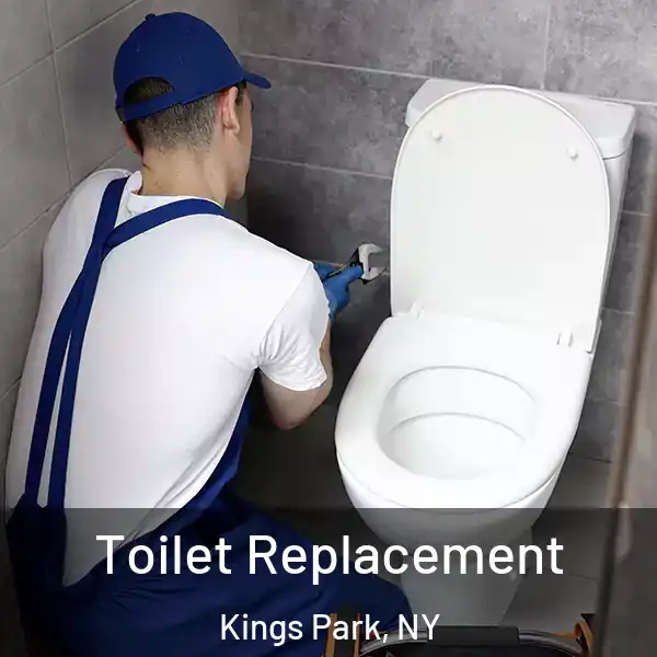  Toilet Replacement Kings Park, NY