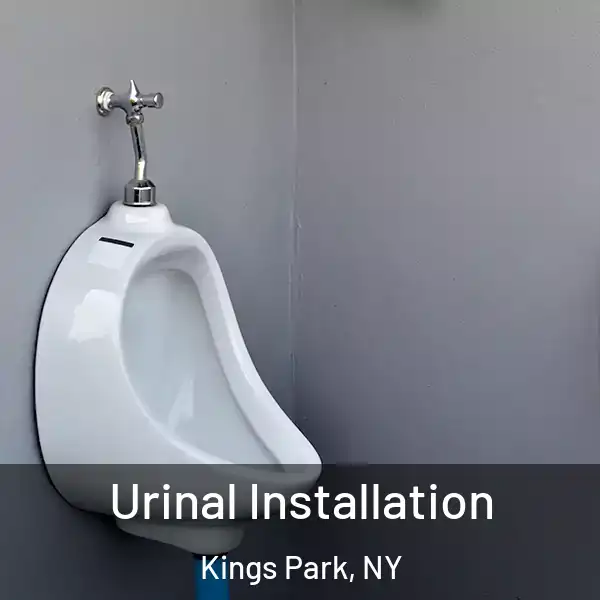  Urinal Installation Kings Park, NY