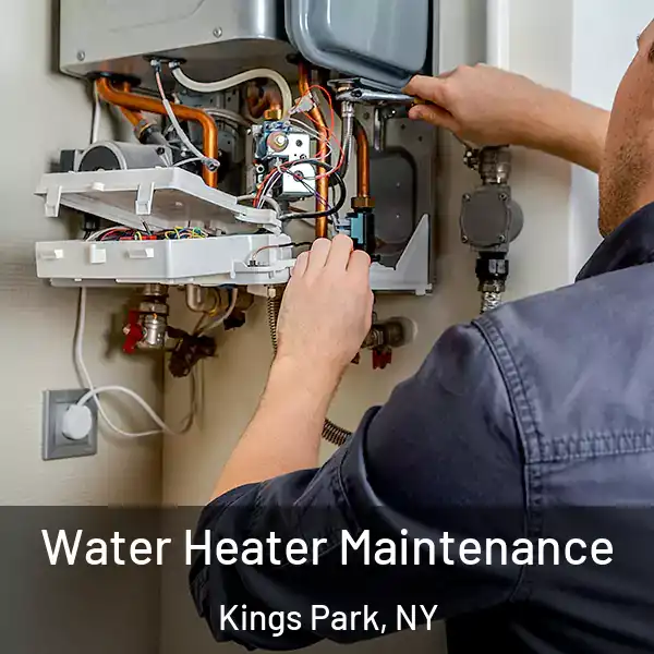  Water Heater Maintenance Kings Park, NY