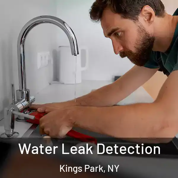  Water Leak Detection Kings Park, NY