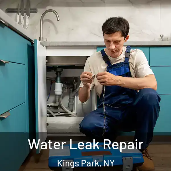  Water Leak Repair Kings Park, NY